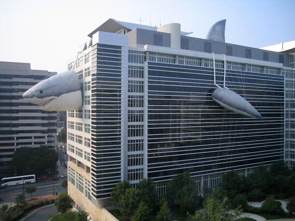 Shark Stalking on Discovery Channel Building