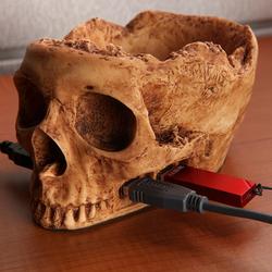 Terrible Skull 4-Port USB Hub