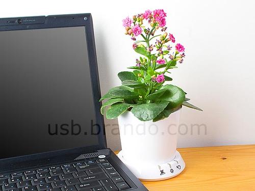 USB Flower Pot Help You Look After Your Plant