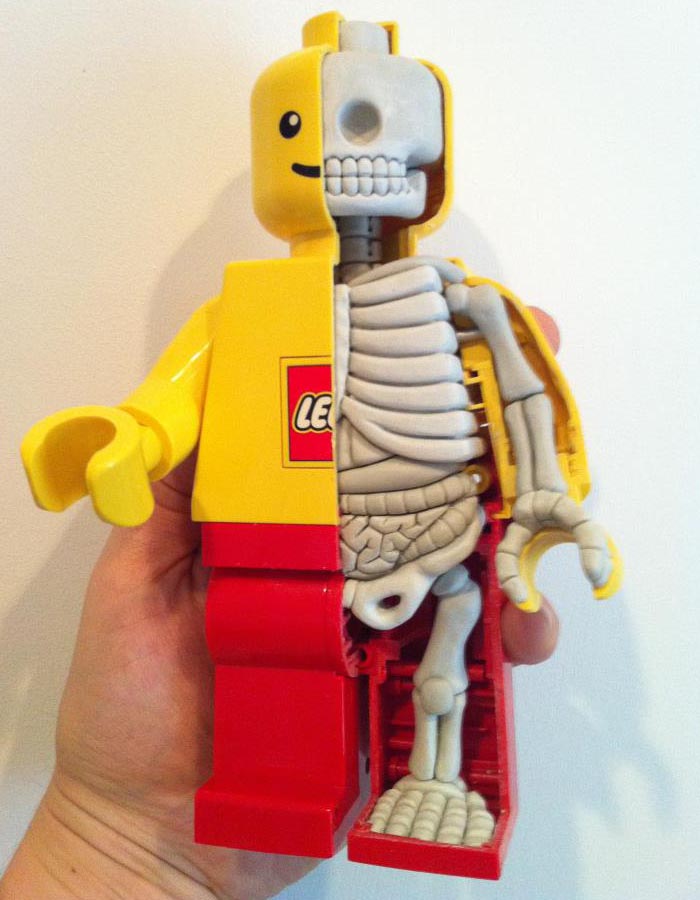 Anatomical LEGO Minifigure