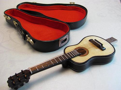 Guitar USB Flash Drive with Carrying Case