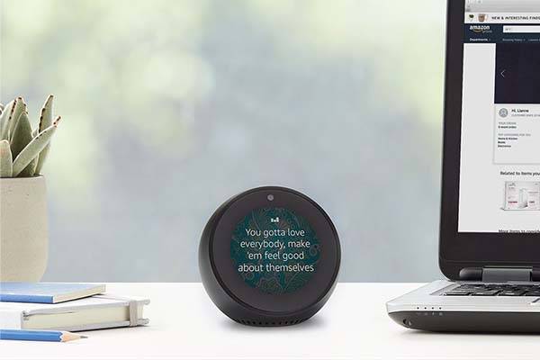Amazon Echo Spot Hybrid Smart Speaker