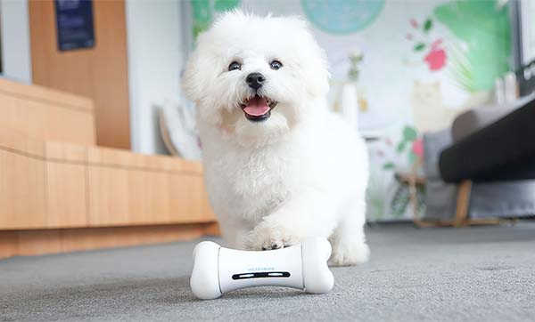 Wickedbone Smart Interactive Dog Toy