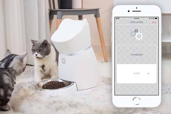 Q1 Smart Pet Feeder Feeds Your Dog or Cat in a Healthier Way