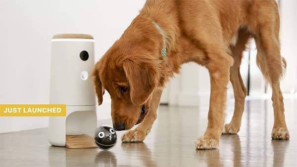 Pupple Smart Pet Toy with Detachable Treat Dispenser