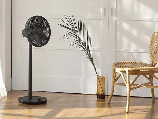 Lumena Wireless Oscillating Pedestal Fan with Built-in Timer