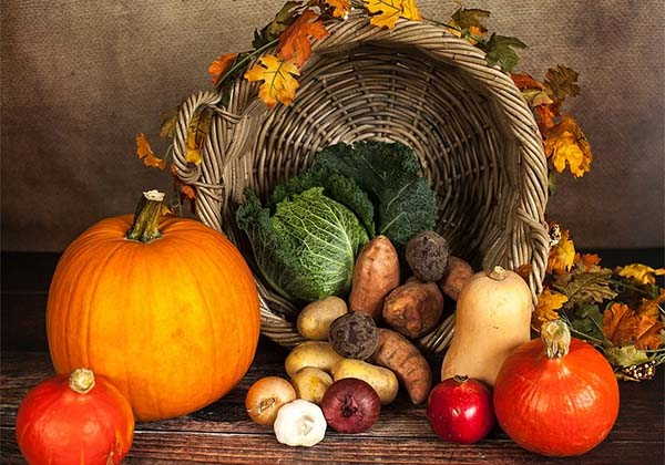 Happy Thanksgiving to Our Readers