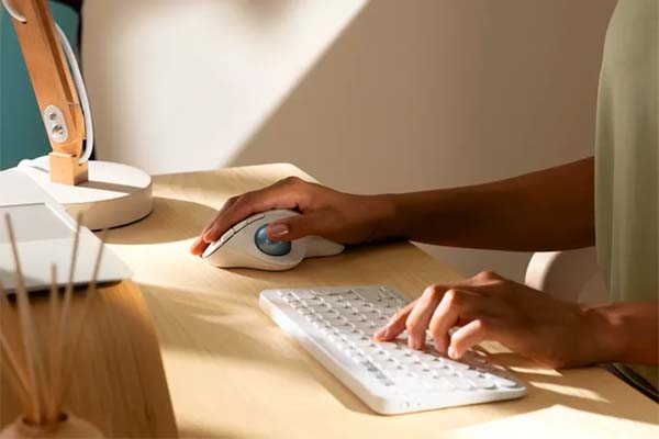 Logitech Ergo M575 Wireless Trackball Mouse For All Day Comfort Gadgetsin
