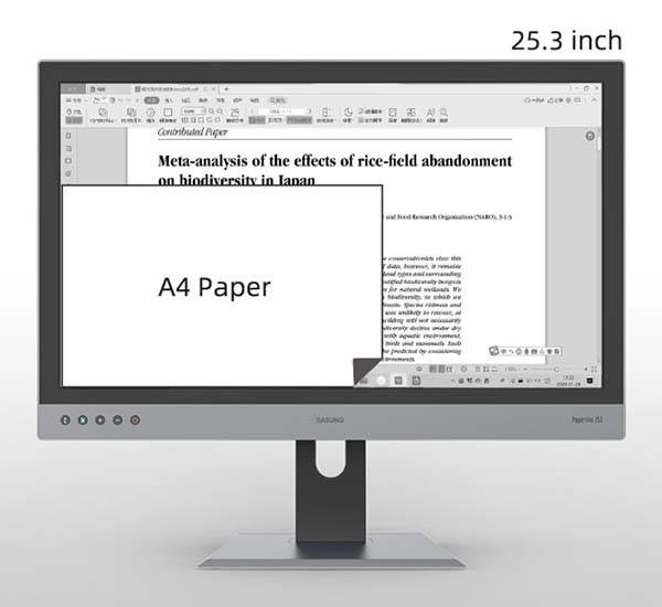 Dasung Paperlike 253 25.3-Inch E-Ink Monitor with 3K Resolution