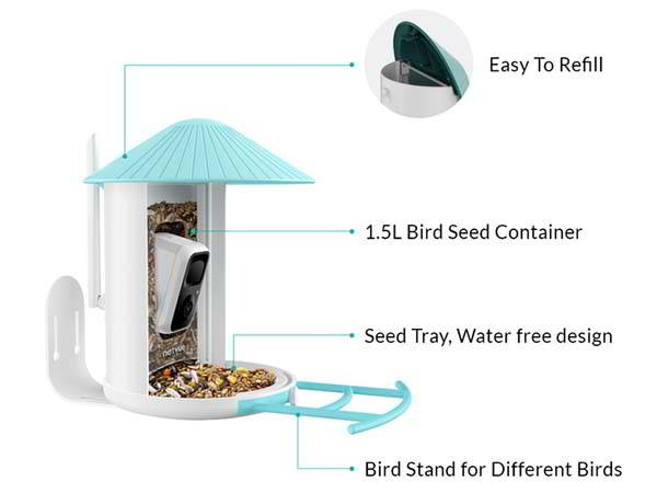 Birdfy Smart Bird Feeder Camera with Auto AI Recognition