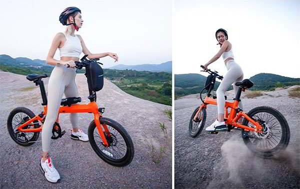 Naicisports X1 Foldable Electric Bike with 7-Speed Transmission and 5-Gear Electric Modes